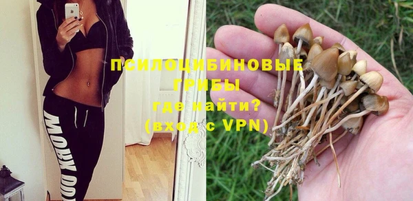 тгк Абинск
