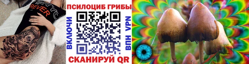 Псилоцибиновые грибы Psilocybine cubensis  МЕГА   Агидель 
